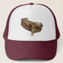 Pesquisar por leopard bones Gato