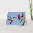 Pesquisar por wildlife cartoes Flowers