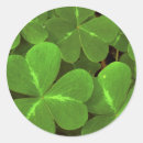 Pesquisar por close up adesivos Verde