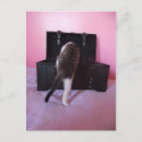 Pesquisar por mau egípcio cartoes postais Gato