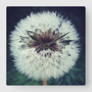 Pesquisar por sementes relogios de parede Tempo