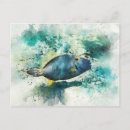 Pesquisar por peixe azul cartoes postais Tropicais