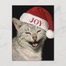 Pesquisar por natal meowy cartoes postais Xmas