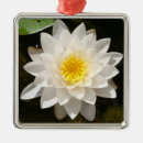 Pesquisar por flor lótus de natal decoração Rosa