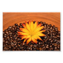 Pesquisar por café floral pôsteres Margarida