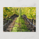Pesquisar por napa Queda