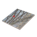 Pesquisar por cabeça casa casa azulejos Pássaros