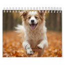 Pesquisar por cachorro calendarios Calendário de cachorro 2026