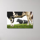 Pesquisar por agricultura impressão de canvas Vaca