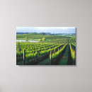 Pesquisar por vinhedo impressão de canvas Videira