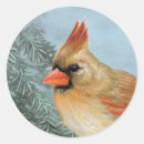 Pesquisar por realista adesivos Brilhante