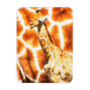 Pesquisar por giraffe imas Branco