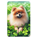 Pesquisar por trevo verde imas Dia de são patrício