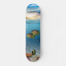 Pesquisar por recife skates Peixe tropical