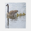 Pesquisar por canadense cobertores Natureza