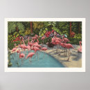 Pesquisar por retro flamingo pôsteres Flamingos