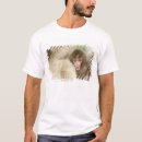 Pesquisar por macaco da neve camisetas Rob tilley
