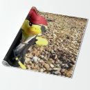 Pesquisar por pirata papel papel de presente For kids