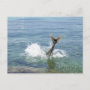Pesquisar por grande porte postal Natureza