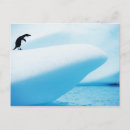 Pesquisar por pinguins bonitos cartoes postais Comprimento do cheio