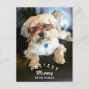 Pesquisar por mundo animal cartoes Mother