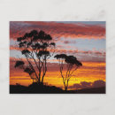 Pesquisar por idílico cartoes postais Austrália