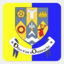 Pesquisar por irlanda artesanato material Gaélico