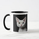 Pesquisar por impar canecas Gato