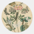 Pesquisar por lagarto adesivos Flores