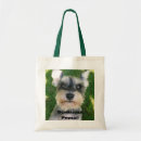 Pesquisar por schnauzer sacos Cães