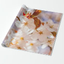 Pesquisar por sakura papel de presente Hanami
