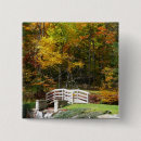 Pesquisar por autumn botons Natureza