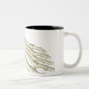 Pesquisar por osso humano canecas Vista dianteira