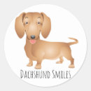 Pesquisar por daschund adesivos Dachshund