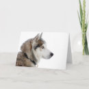 Pesquisar por husky cartoes Neve