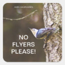 Pesquisar por pássaro amarelo adesivos Pássaros