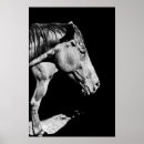 Pesquisar por perfil cavalo pôsteres Fazenda
