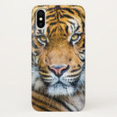 Pesquisar por face capas Natureza