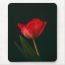 Pesquisar por tulipas pretas eletronicos Elegante