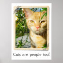 Pesquisar por gato feliz pôsteres Animais