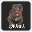 Pesquisar por pitbull adesivos Animais