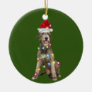 Pesquisar por boneco neve irlandês Papais noeis