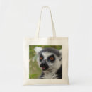 Pesquisar por lemur bolsas Madagascar