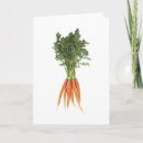 Pesquisar por raizes cartoes Vegetal