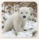 Pesquisar por urso polar porta copos Vida selvagem
