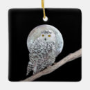 Pesquisar por arte do pássaro ornamentos Neve