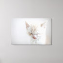 Pesquisar por gato branco bonito impressão de canvas Animais