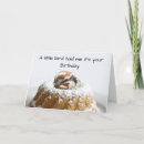 Pesquisar por casa do pássaro cartoes Pardal