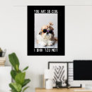 Pesquisar por shih tzu pôsteres Cachorro
