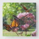 Pesquisar por monarca relogios de parede Borboletas